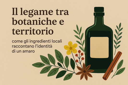 Il legame tra botaniche e territorio: come gli ingredienti locali raccontano l’identità di un amaro