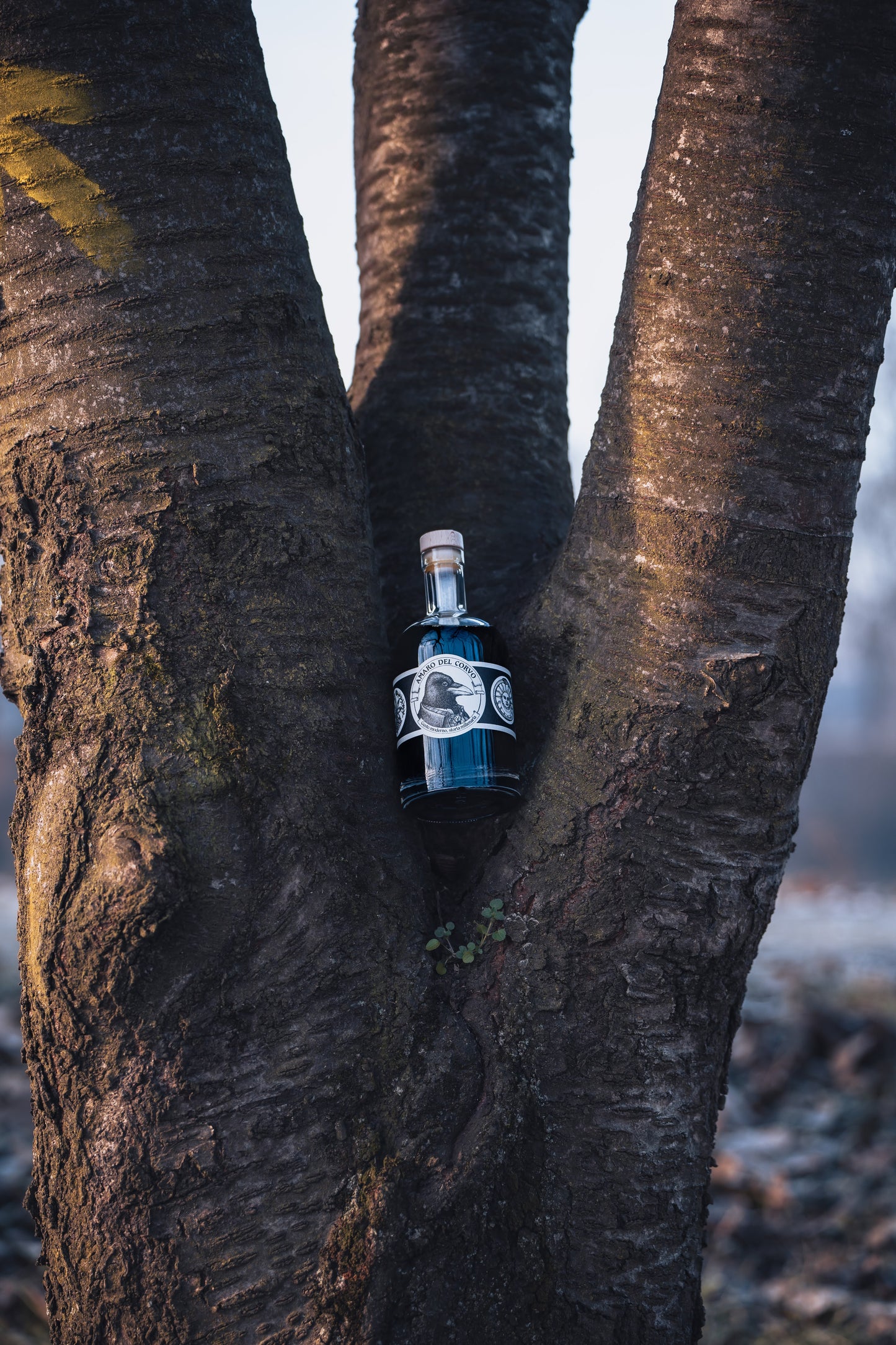 Amaro del Corvo - Bottiglia 50cl